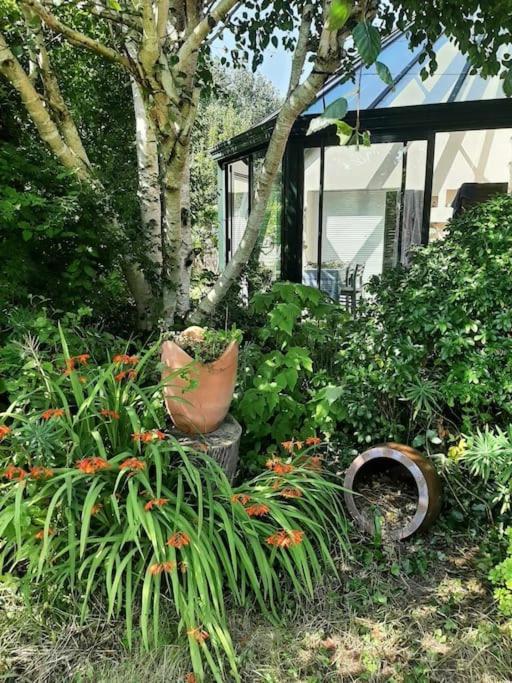 La Maison Rose - Avec Grand Jardin Clos A 300M De La Mer Hauteville-sur-Mer Exterior photo
